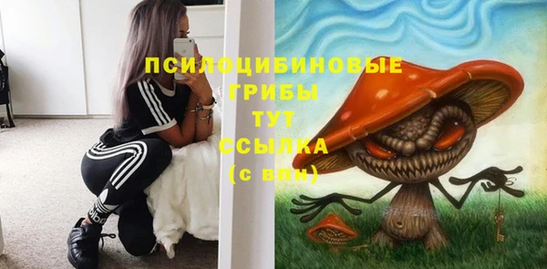 кристаллы Горнозаводск