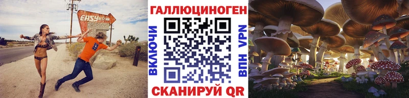 Псилоцибиновые грибы Cubensis Петровск-Забайкальский